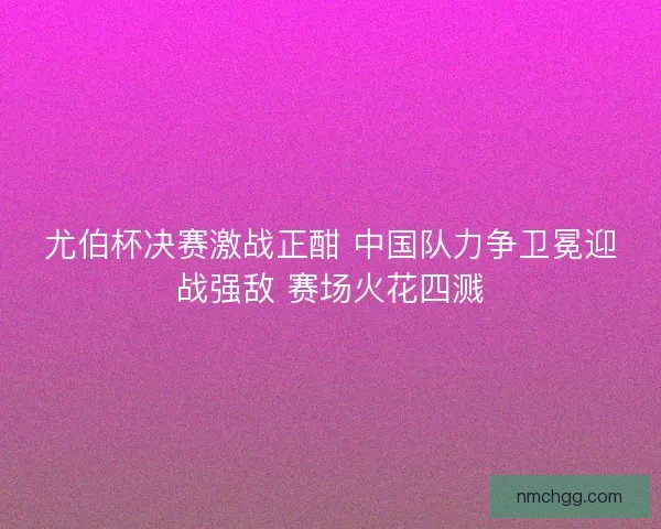 尤伯杯决赛激战正酣 中国队力争卫冕迎战强敌 赛场火花四溅